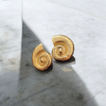 Boucles d'oreilles NOUT